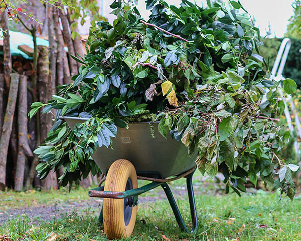 Schubkarre mit Ästen